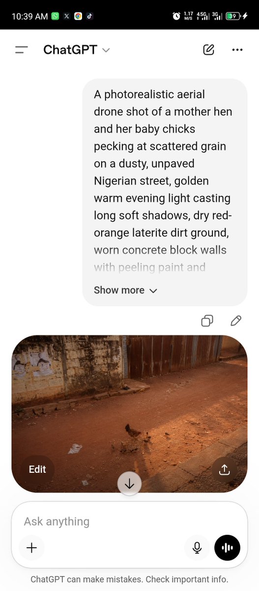 一张照片写实风格的无人机航拍镜头：一只母鸡带着一群小鸡在尘土飞扬、未经铺设的尼日利亚街道上啄食散落的谷粒,金色温暖的傍晚光线投下长长的柔和阴影,干燥的红橙色红…