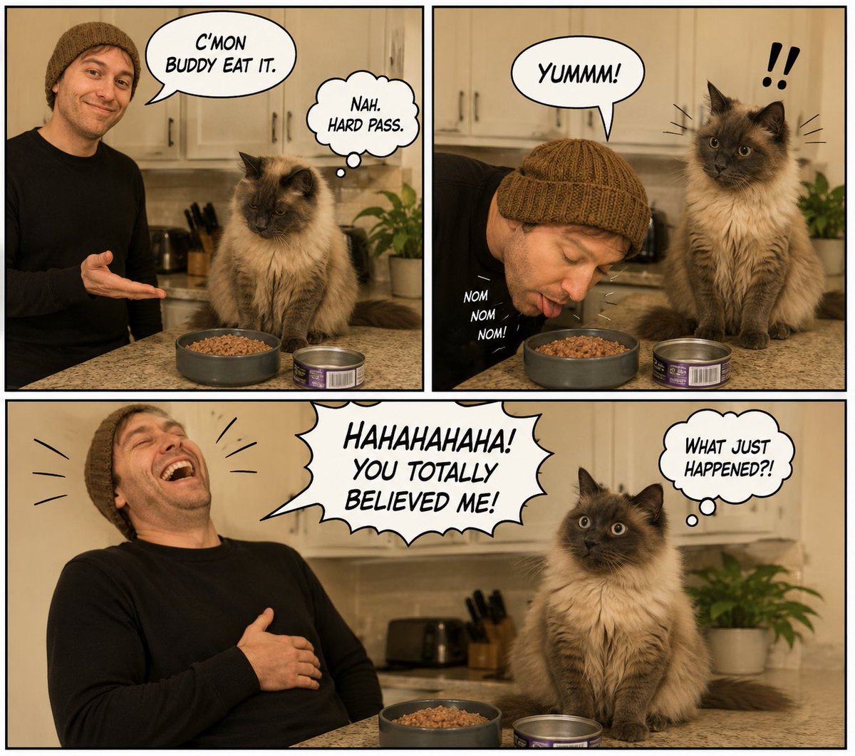 你能画一幅关于我和我的猫的多格连环漫画吗? 故事是这样的: 第一格:我站在我的猫旁边,猫坐在厨房台面上,猫旁边有一碗湿猫粮,碗旁还有一个空的猫粮罐头。我说:"来吧伙计,吃吧"。猫…