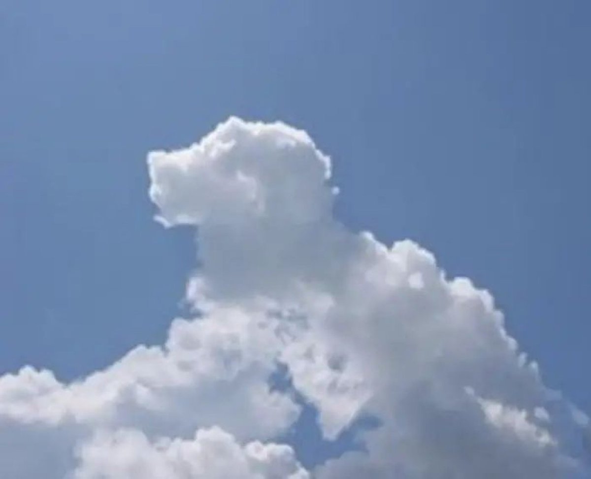 https://t.co/nOklsy1dUA 以所提供图像中云朵的可见形状为指引，判断云朵轮廓最像哪种物体、动物或人物。保持原始图像完整，不要改动底层照片…