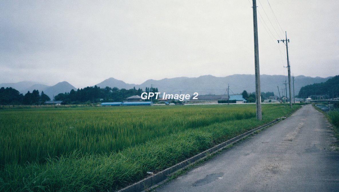 电影风格静态帧, 夏季日本乡村稻田景观, 沿狭窄农田道路拍摄的四分之三角度视角, 阴沉沉的淡色天空下翠绿色的稻田, 向远方延伸的电线杆, 去饱和度,略微偏冷的色彩分级, 柔和对比…