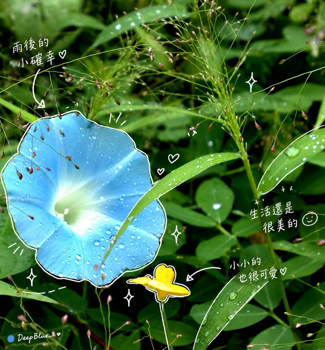 在圖片上方加上一層手繪疊加。最終成品要時髦、放鬆、毫不費力地隨性。繪製規則：用細細的手繪線條，像是用白色筆畫上去。保持單筆勾勒風格：粗糙、略帶不均。沿著物件外…