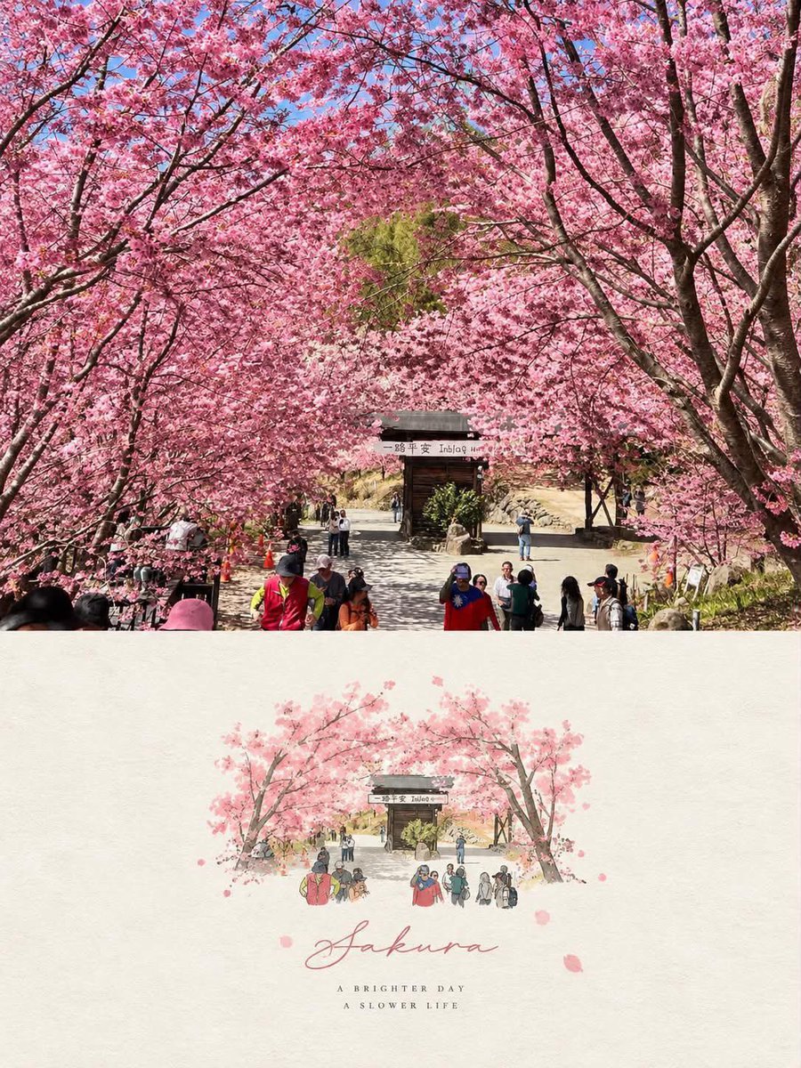 以上传的图片作为主要参考。准确保留原始场景、构图、主体、姿势、比例、色彩和重要细节。不要替换或重新排列主要元素。 创建一张竖版 3:4 编辑风格海报，将照片精…