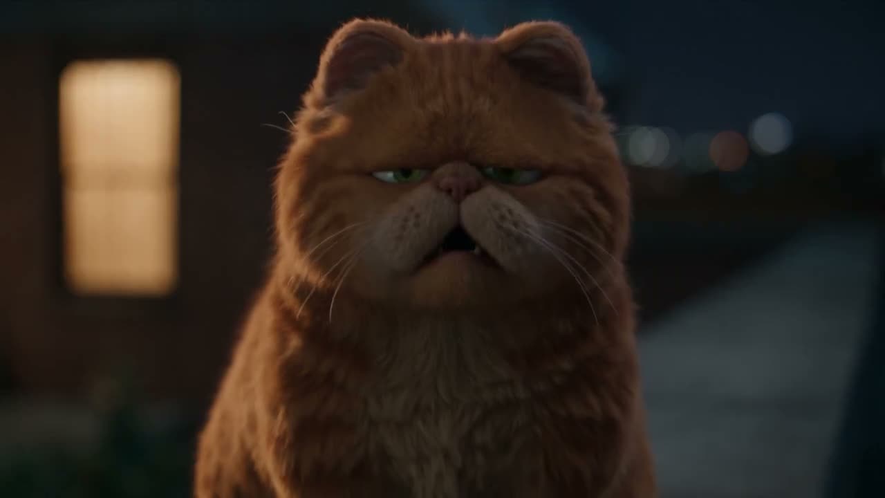 30秒喜剧短片。两只逼真的家猫——一只胖乎乎的橙色虎斑猫和一只瘦小的黑白礼服猫——并排坐在夜晚昏暗的屋顶边缘上，身后是模糊的城市灯光。温暖的橙色和蓝色灯光，浅…