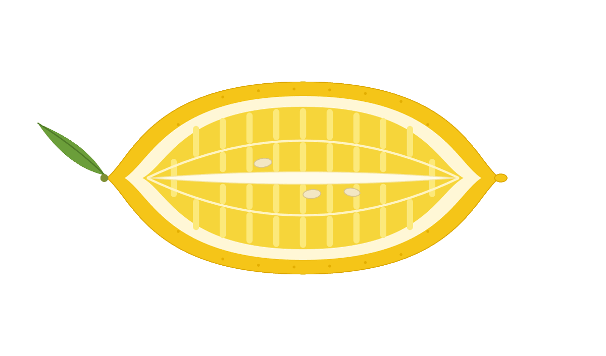 一个纵向切开的柠檬。 1 Claude (SVG) · 2 Nano Banana · 3 GPT-Image · 4 真实照片 最强的图像模型在外观上表现出…