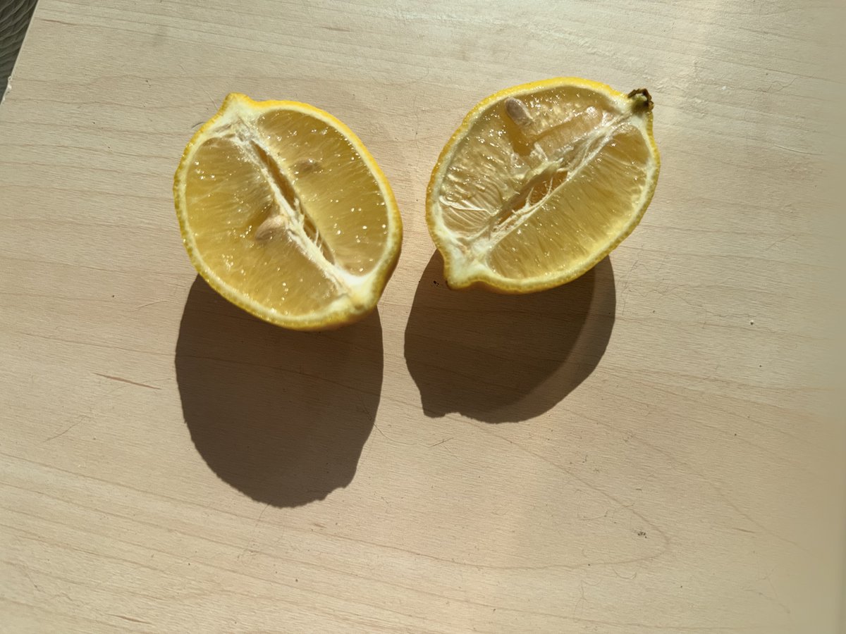 一个纵向切开的柠檬。 1 Claude (SVG) · 2 Nano Banana · 3 GPT-Image · 4 真实照片 最强的图像模型在外观上表现出色,但结构完全错了…